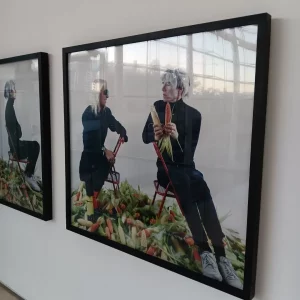 Photo of man and woman and corn